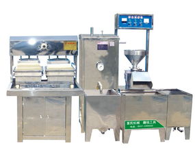 专业彩色果蔬豆腐机制造商 创新技术引领健康饮食新风尚