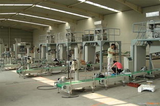 甘氨酸自动包装生产线机械设备销售 高效自动化解决方案助力精细化工产业升级