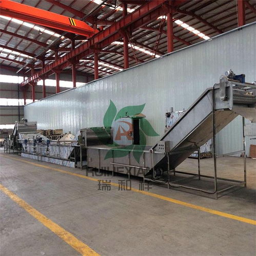 海带提取设备 瑞和食品机械厂家的专业销售服务